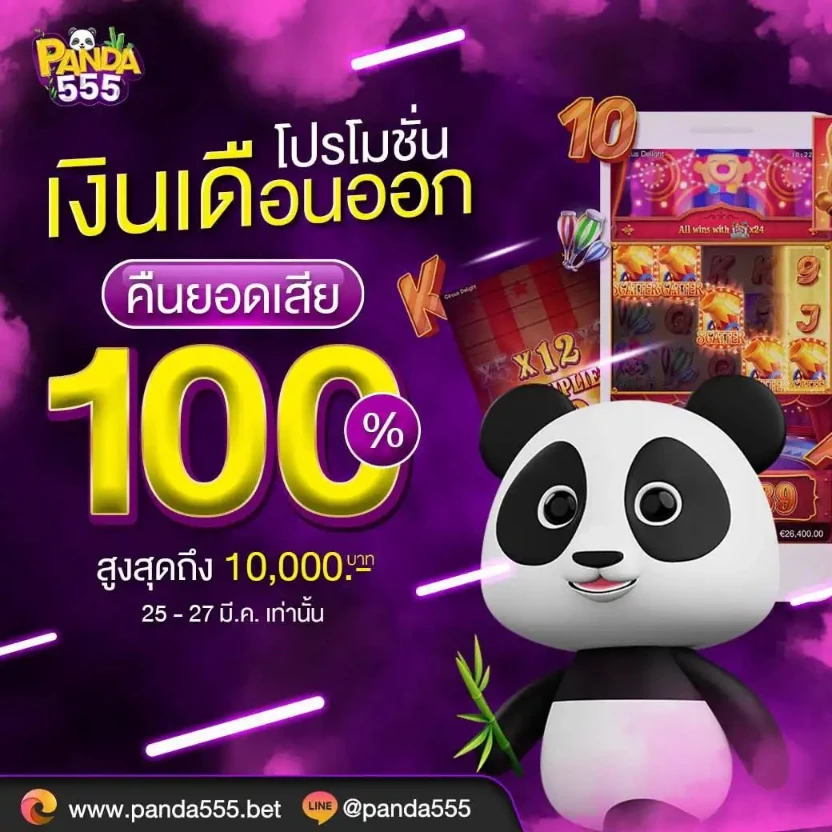 แพนด้า555