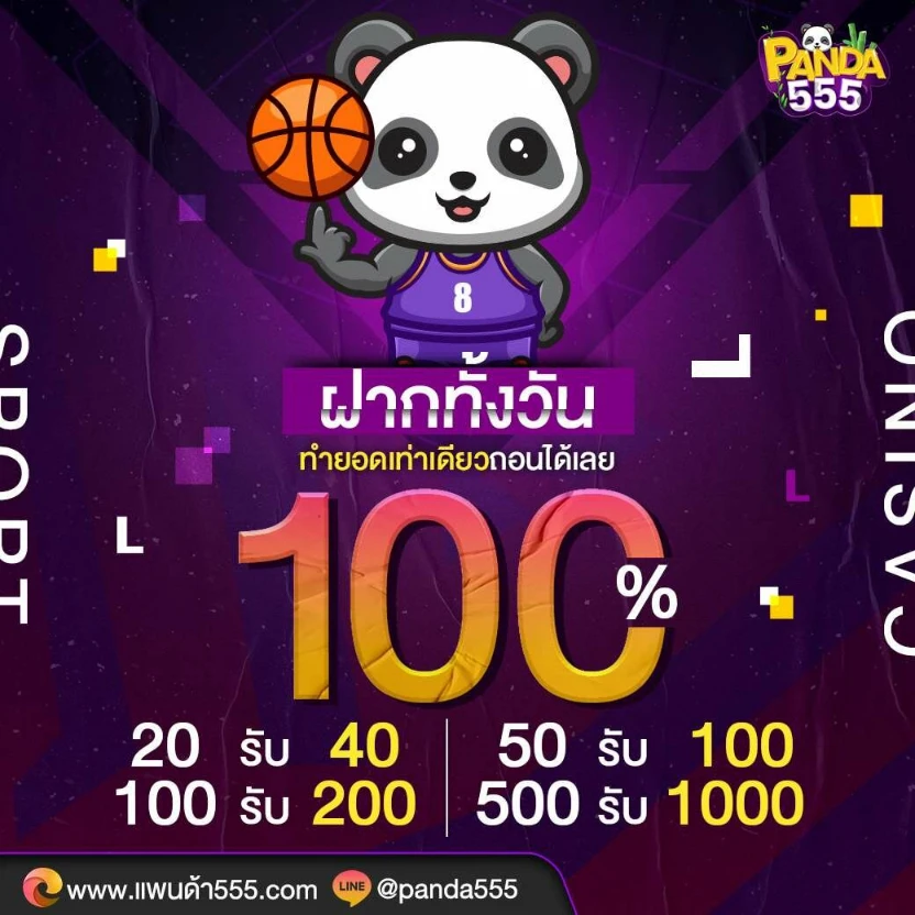 แพนด้า555